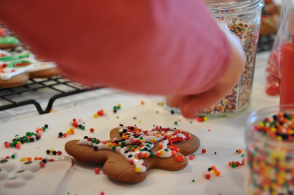 "Gingerbread Cookie Recipe"