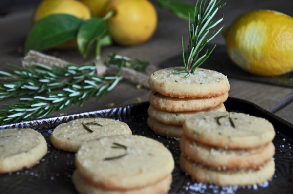 Savory Rosemary Cheese Cookies Recipe